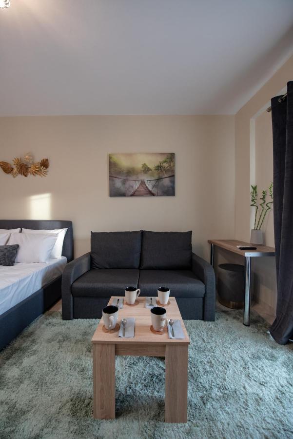 Alfa House Apartment อิโออันนินา ภายนอก รูปภาพ